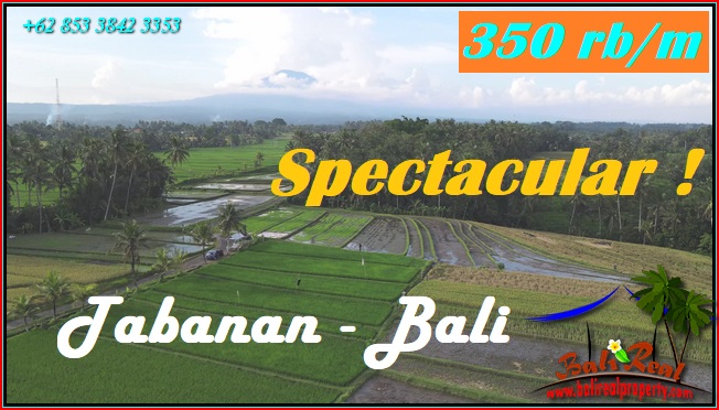 Exotic LAND IN Selemadeg Timur Tabanan FOR SALE TJTB576