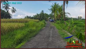 Exotic LAND IN Selemadeg Timur Tabanan FOR SALE TJTB576