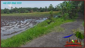 Exotic LAND IN Selemadeg Timur Tabanan FOR SALE TJTB576