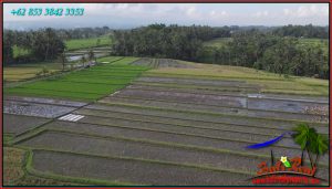 Exotic LAND IN Selemadeg Timur Tabanan FOR SALE TJTB576