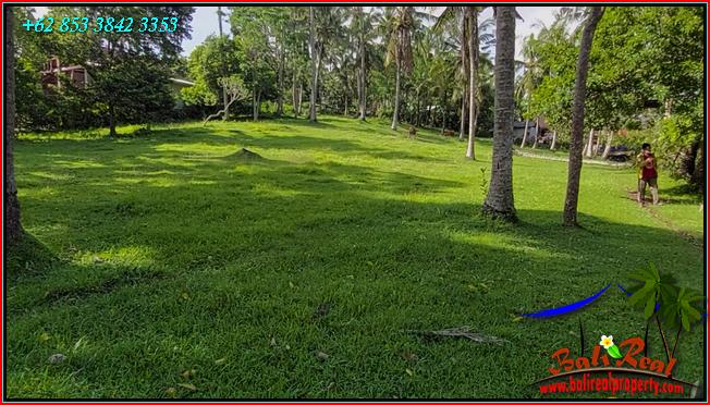 Beautiful LAND FOR SALE IN Selemadeg Barat TJTB550