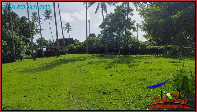 Beautiful LAND FOR SALE IN Selemadeg Barat TJTB550