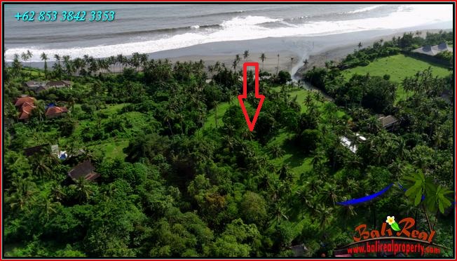 Beautiful LAND FOR SALE IN Selemadeg Barat TJTB550