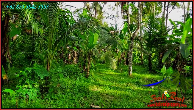 Exotic LAND IN TABANAN BALI FOR SALE TJTB552