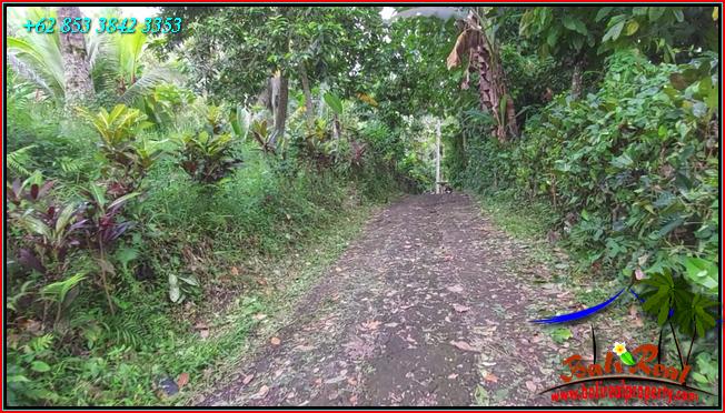 FOR SALE Affordable 3,000 m2 LAND IN Penebel Tabanan TJTB553