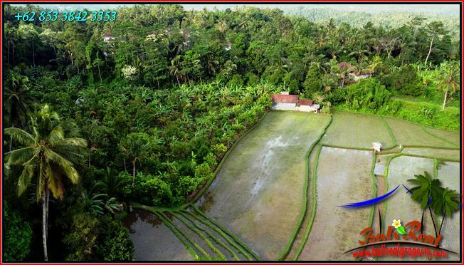Exotic 12,000 m2 LAND FOR SALE IN Pupuan Tabanan BALI TJTB554