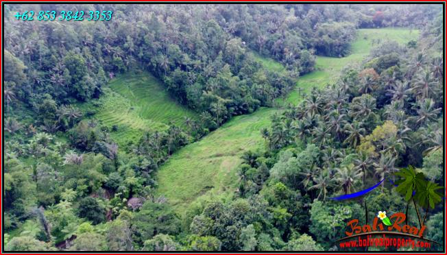 Affordable PROPERTY LAND FOR SALE IN Pupuan Tabanan TJTB555