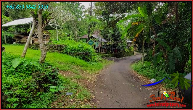 Affordable PROPERTY LAND FOR SALE IN Pupuan Tabanan TJTB555