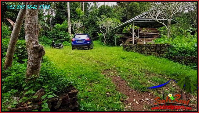 Affordable PROPERTY LAND FOR SALE IN Pupuan Tabanan TJTB555