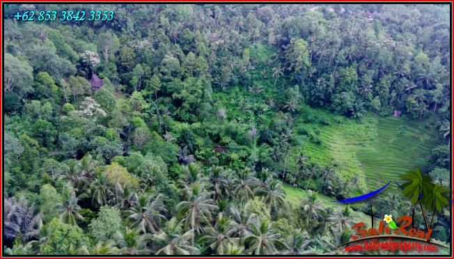 Affordable PROPERTY LAND FOR SALE IN Pupuan Tabanan TJTB555