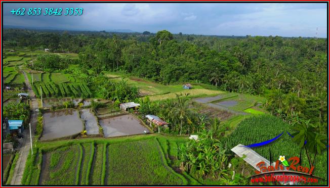 Affordable PROPERTY LAND FOR SALE IN Penebel Tabanan TJTB560
