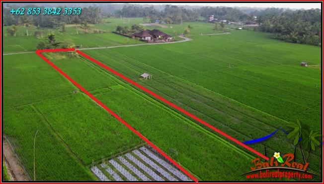 Exotic PROPERTY Penebel Tabanan LAND FOR SALE TJTB561