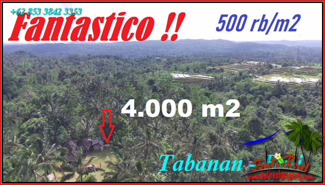 FOR SALE Exotic 4,000 m2 LAND IN Pupuan Tabanan BALI TJTB541