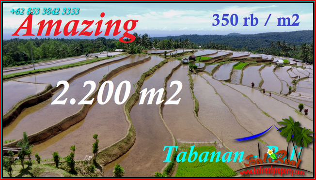 2,200 m2 LAND FOR SALE IN Pupuan Tabanan BALI TJTB542