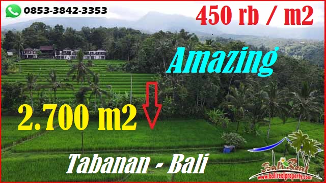 Exotic Penebel Tabanan BALI 2,700 m2 LAND FOR SALE TJTB592