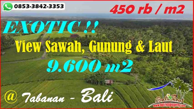 Exotic 9,600 m2 LAND FOR SALE IN Selemadeg Barat Tabanan BALI TJTB601