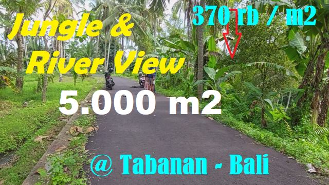 Cheap property LAND FOR SALE IN Selemadeg Timur Tabanan TJTB607