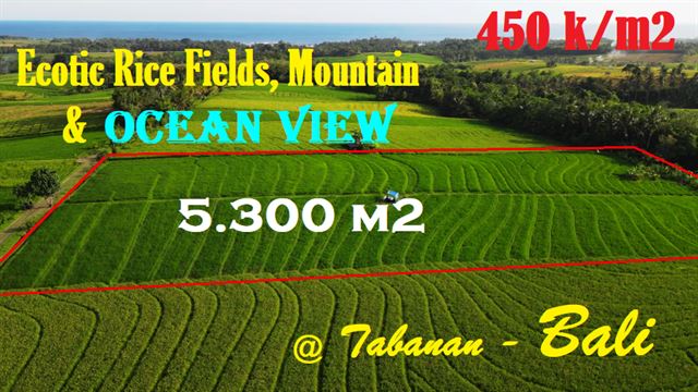 Affordable PROPERTY LAND FOR SALE IN Selemadeg Tabanan TJTB610