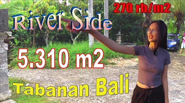 LAND IN TABANAN BALI FOR SALE TJTB617