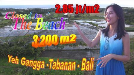 Beautiful PROPERTY 3,200 m2 LAND IN TABANAN FOR SALE TJTB639