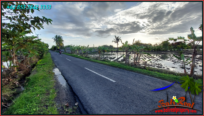 Magnificent PROPERTY LAND SALE IN Tabanan TJTB635