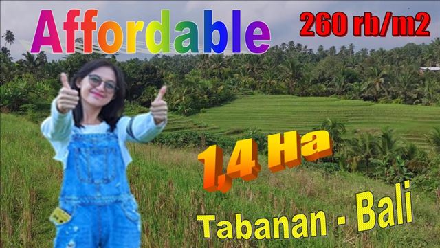 FOR SALE Affordable 14,200 m2 LAND IN Selemadeg Timur Tabanan TJTB621