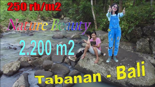 Magnificent PROPERTY 2,200 m2 LAND SALE IN TABANAN TJTB622