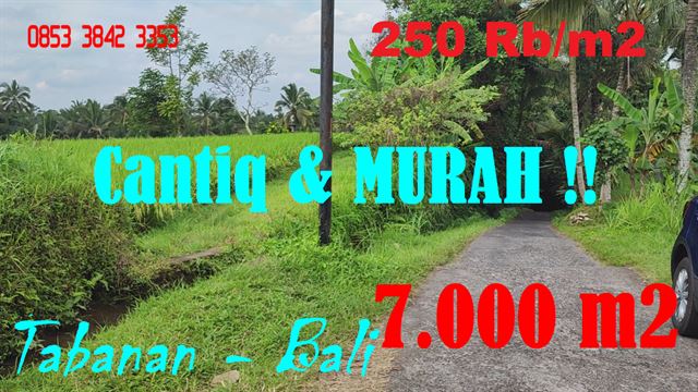 Ex0tic LAND IN Penebel Tabanan FOR SALE TJTB626