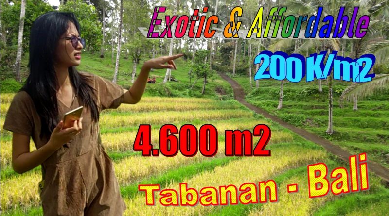 Affordable PROPERTY 4,600 m2 LAND IN TABANAN FOR SALE TJTB630