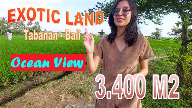 Magnificent Kerambitan Tabanan LAND FOR SALE TJTB648