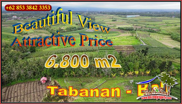 Affordable PROPERTY LAND FOR SALE IN Kerambitan Tabanan TJTB655