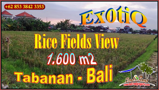 Beautiful PROPERTY 1,600 m2 LAND IN TABANAN FOR SALE TJTB658