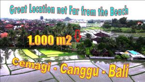 Beautiful 1,000 m2 LAND IN CANGGU FOR SALE TJCG268