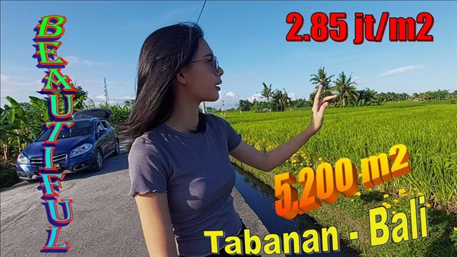 Ex0tic Kediri Tabanan BALI 5,200 m2 LAND FOR SALE TJTB642