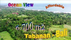 Magnificent 6,700 m2 LAND FOR SALE IN TABANAN TJTB668