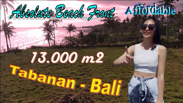 FOR SALE Affordable 13,000 m2 LAND IN Selemadeg Barat Tabanan TJTB671