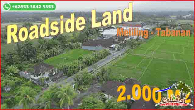 Magnificent LAND IN Kerambitan Tabanan FOR SALE TJTB679