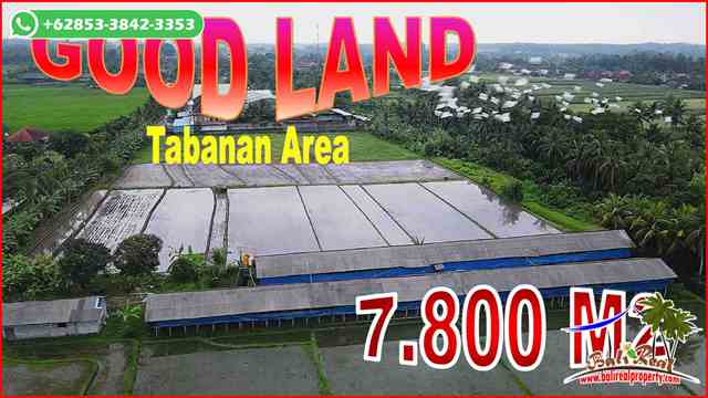 Beautiful PROPERTY TABANAN 7,800 m2 LAND FOR SALE TJTB681