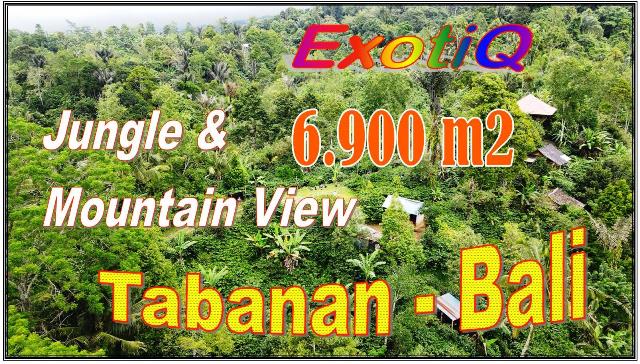 6,900 m2 LAND IN Penebel Tabanan BALI FOR SALE TJTB699
