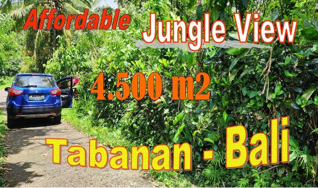 Beautiful Penebel Tabanan BALI 4,500 m2 LAND FOR SALE TJTB697