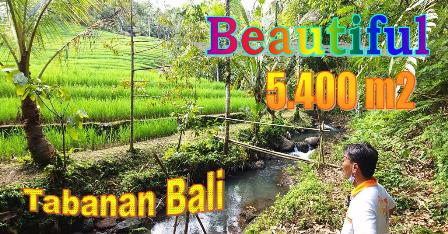 FOR SALE Magnificent PROPERTY LAND IN Pupuan Tabanan TJTB688
