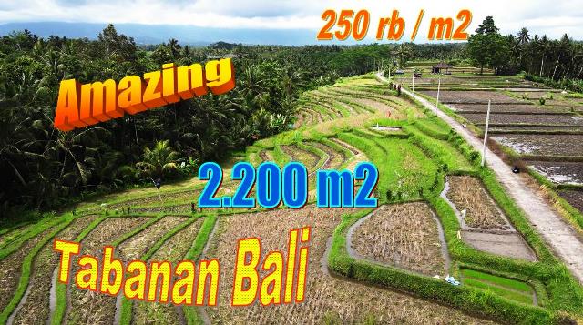 Affordable LAND SALE IN TABANAN BALI TJTB695