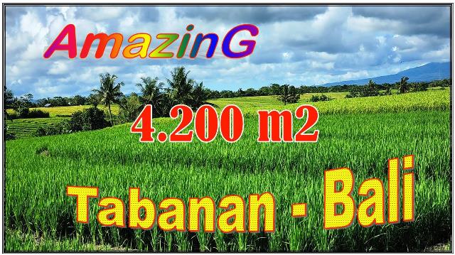 Affordable TABANAN BALI LAND FOR SALE TJTB700