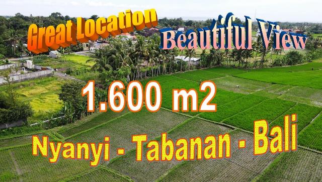 FOR SALE Magnificent LAND IN TABANAN BALI TJTB711