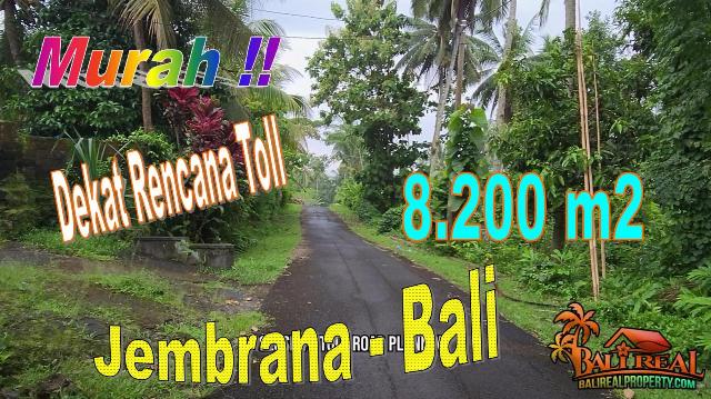 Beautiful PROPERTY Jembrana Bali BALI LAND FOR SALE TJTB718