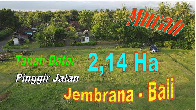 Affordable LAND SALE IN JEMBRANA BALI TJB2023N