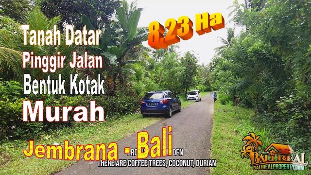 FOR SALE Affordable PROPERTY 82.300 m2 LAND IN Jembrana BALI TJB2013N
