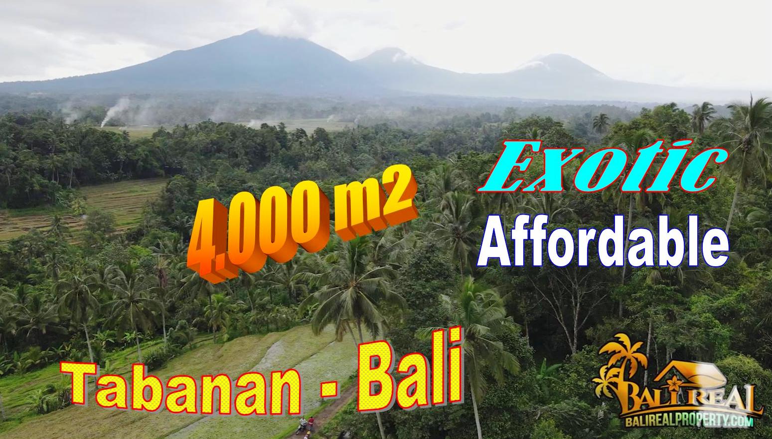 Exotic TABANAN BALI LAND FOR SALE TJTB705