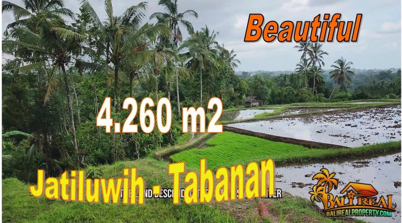 Exotic PROPERTY Penebel Tabanan LAND FOR SALE TJTB706