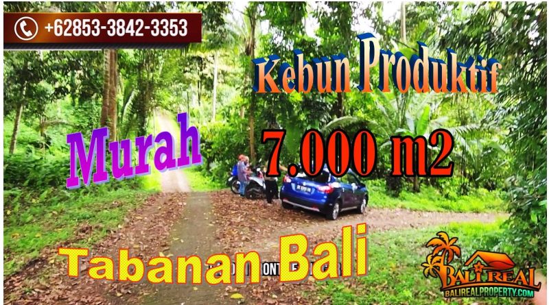 Magnificent LAND IN Selemadeg Timur Tabanan FOR SALE TJTB721